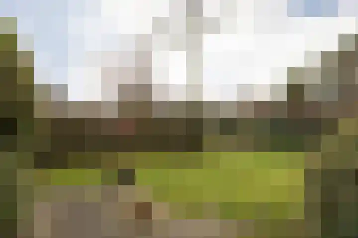 De Kuiperij 9 Oss thumbnail 17