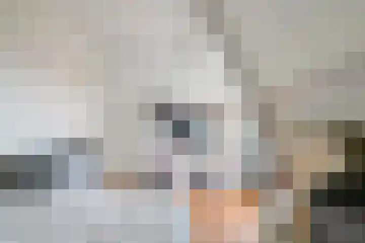 De Kuiperij 9 Oss thumbnail 20