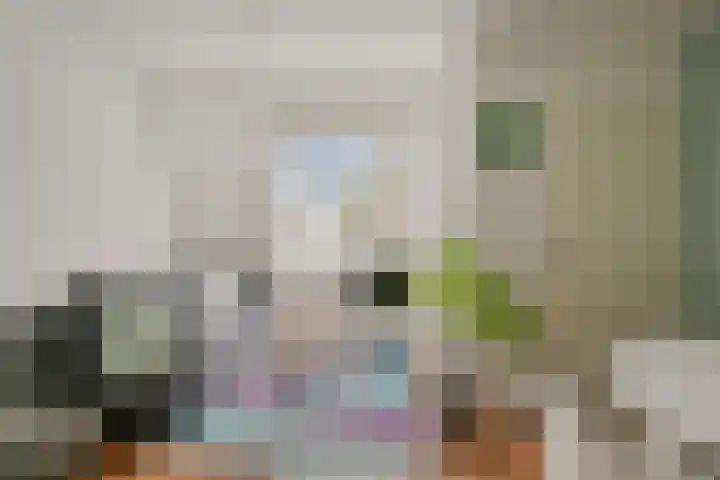 De Kuiperij 9 Oss thumbnail 8
