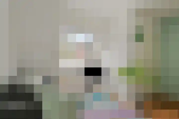 De Kuiperij 9 Oss thumbnail 9