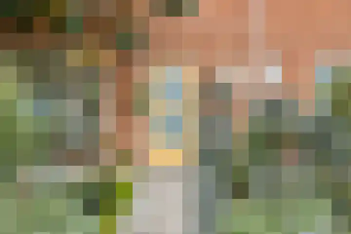 de Kulder 8 Eindhoven thumbnail 10