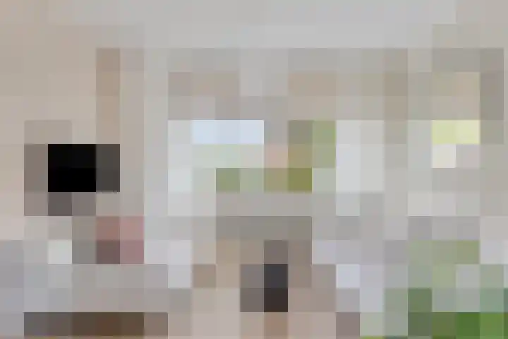de Kulder 8 Eindhoven thumbnail 14