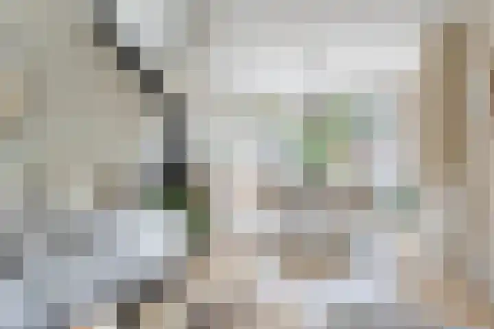 de Kulder 8 Eindhoven thumbnail 15
