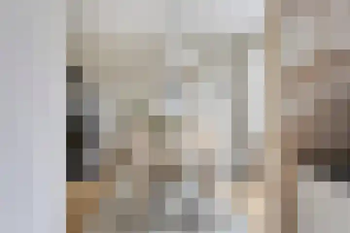 de Kulder 8 Eindhoven thumbnail 22