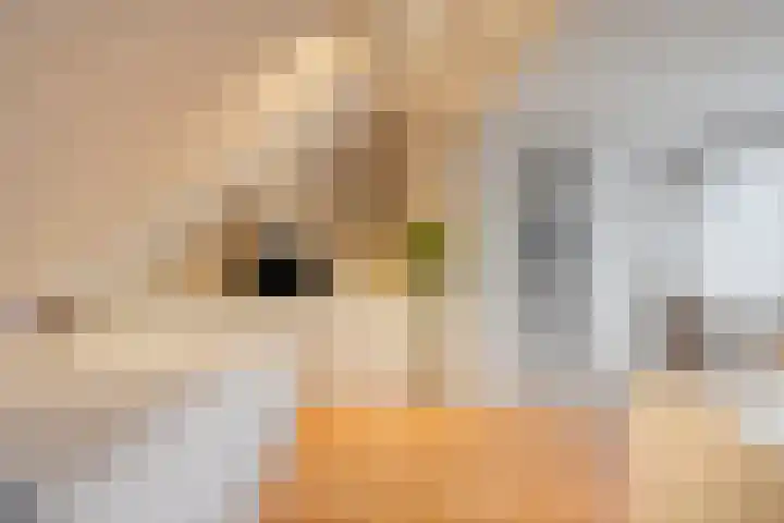 de Kulder 8 Eindhoven thumbnail 30