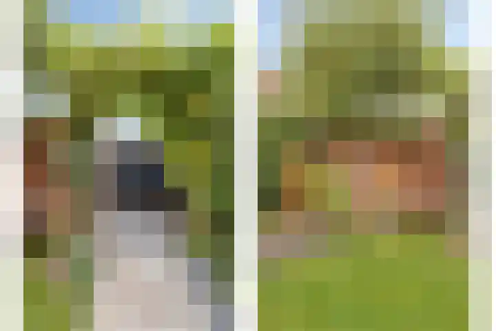 de Kulder 8 Eindhoven thumbnail 37