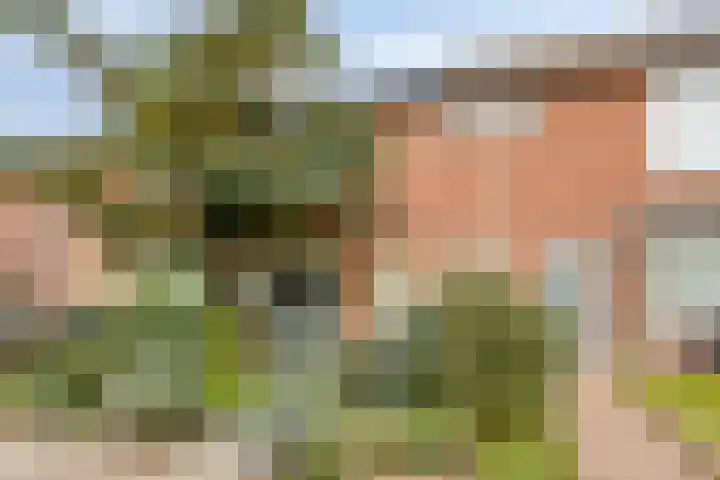 de Kulder 8 Eindhoven thumbnail 7