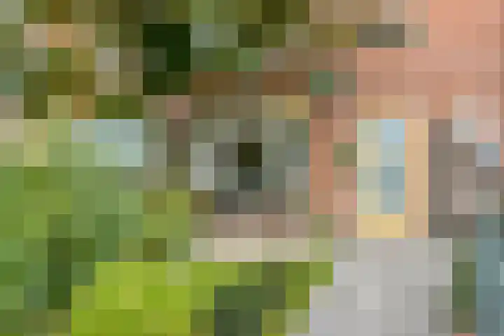 de Kulder 8 Eindhoven thumbnail 8