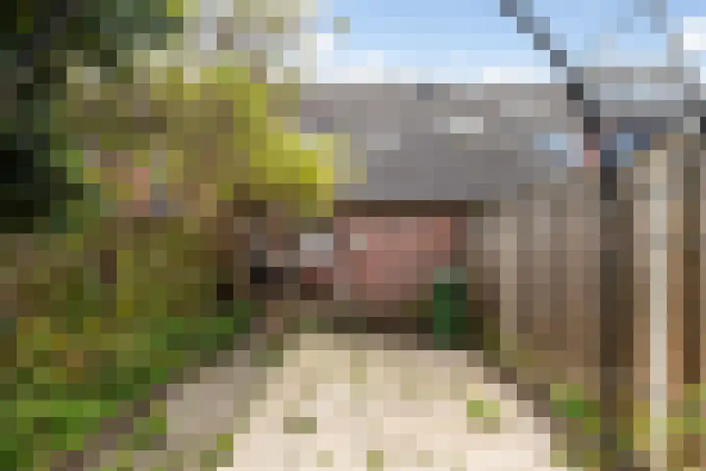 De Kule 40 Den Oever thumbnail 14