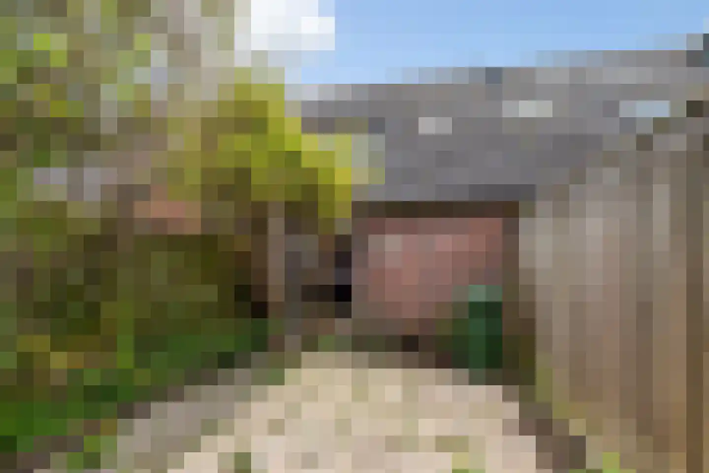 De Kule 40 Den Oever thumbnail 15