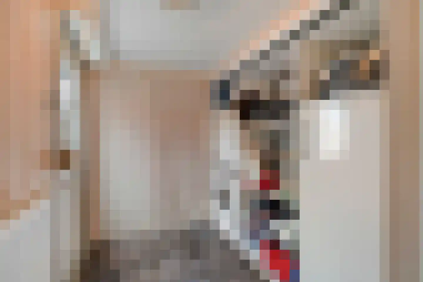 De Kule 42 Den Oever thumbnail 15