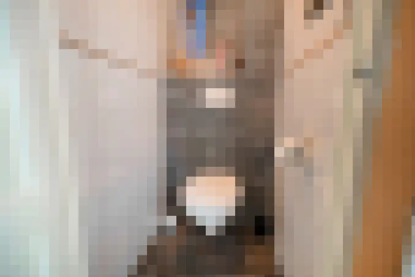 De Kule 42 Den Oever thumbnail 17