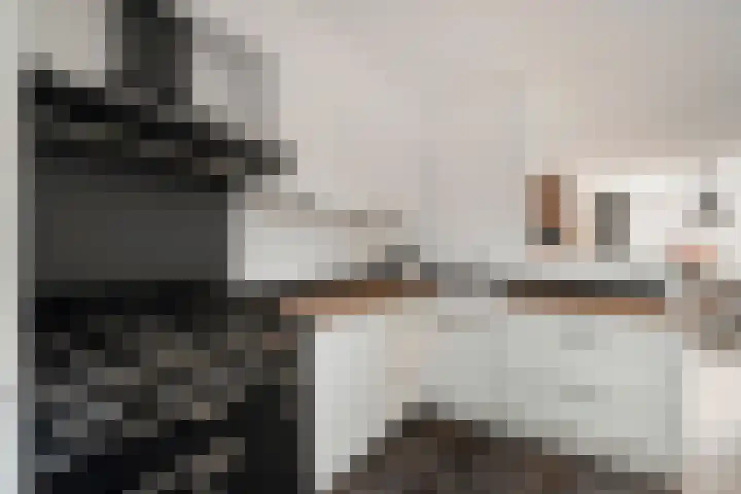 De Kule 42 Den Oever foto 2
