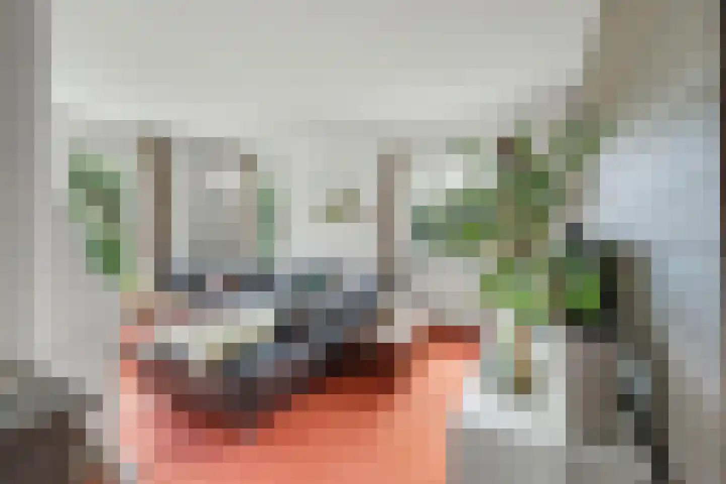de Kure 8 Burgh-Haamstede thumbnail 17