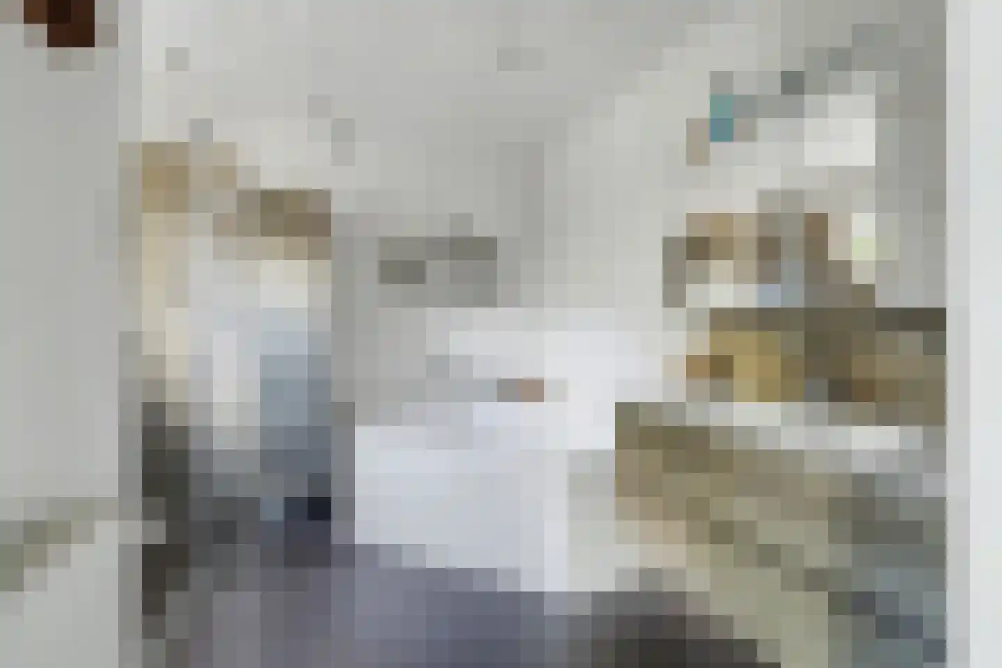 de Kure 8 Burgh-Haamstede thumbnail 22