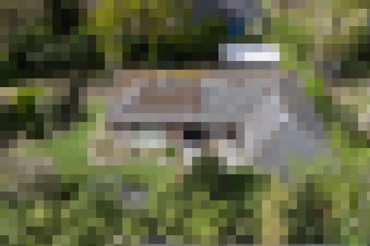 de Kure 8 Burgh-Haamstede thumbnail 32