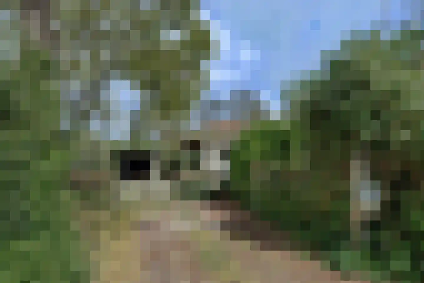 de Kure 8 Burgh-Haamstede thumbnail 4