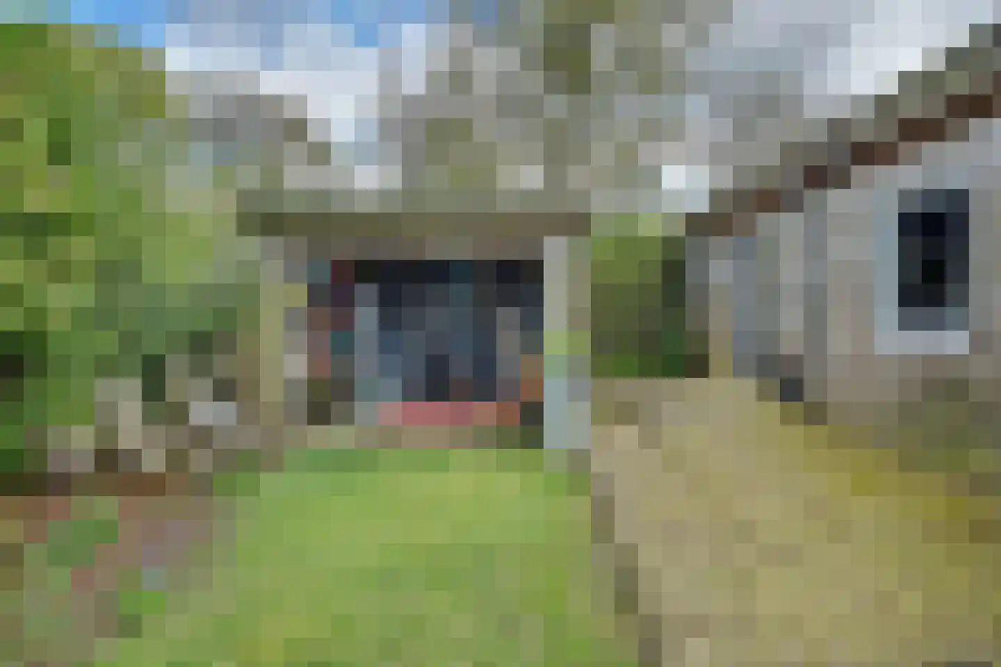 de Kure 8 Burgh-Haamstede thumbnail 6