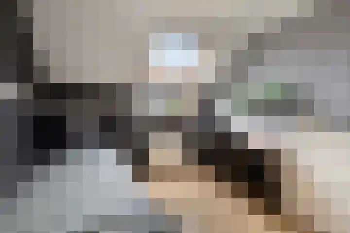 De Kurver 23 Grubbenvorst thumbnail 14
