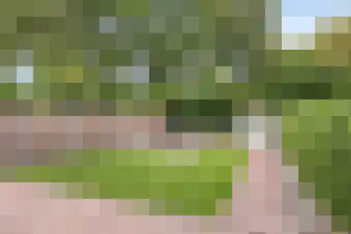 De Kurver 23 Grubbenvorst thumbnail 20