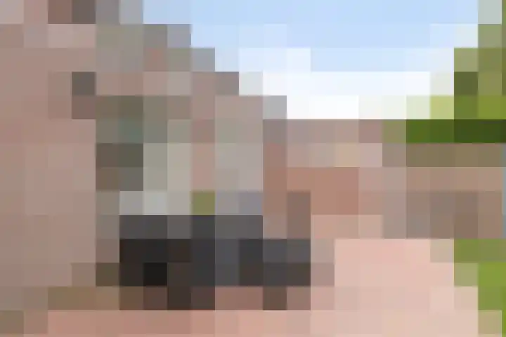De Kurver 23 Grubbenvorst thumbnail 21