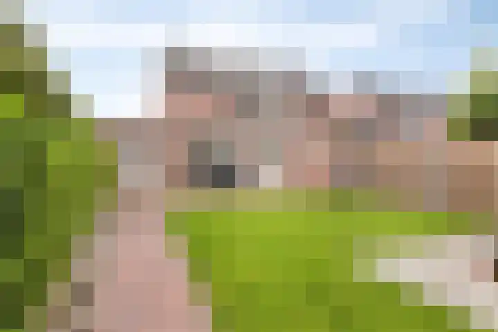 De Kurver 23 Grubbenvorst thumbnail 22