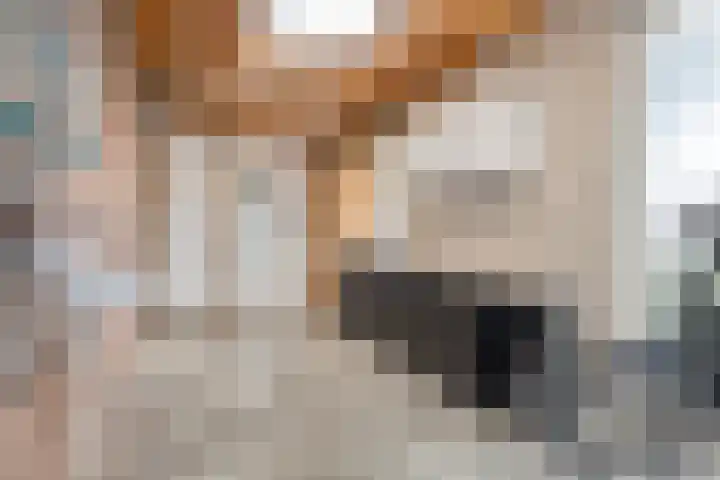 De Kurver 23 Grubbenvorst thumbnail 25