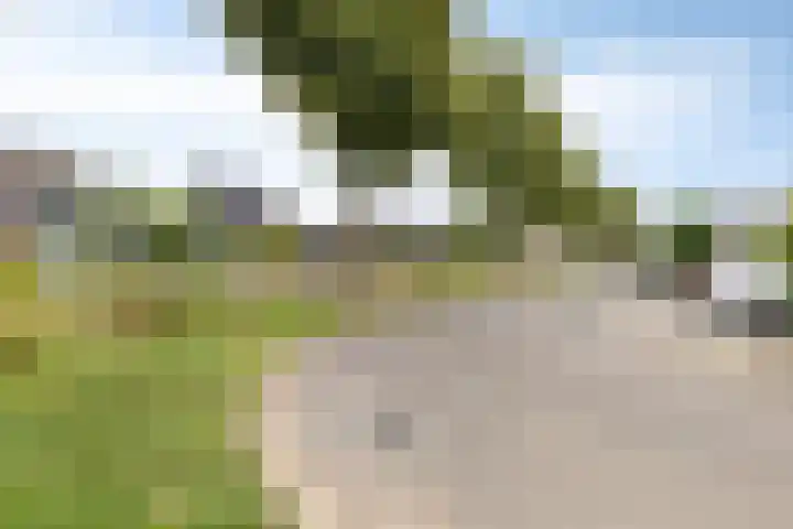 De Kurver 23 Grubbenvorst thumbnail 27