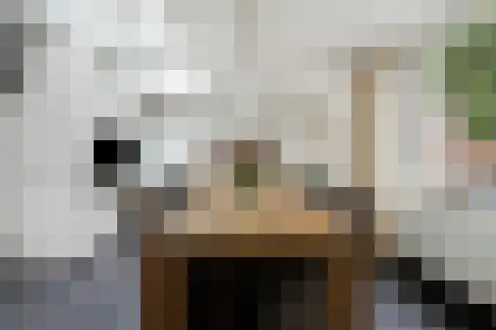 De Kurver 23 Grubbenvorst thumbnail 5