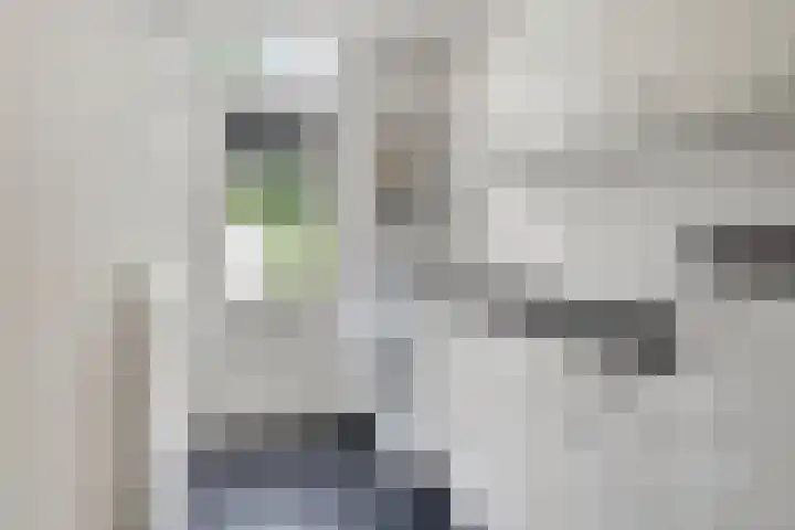 De Kurver 23 Grubbenvorst thumbnail 9