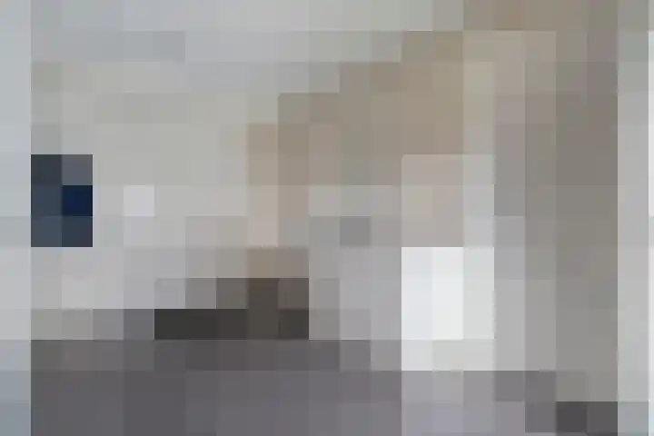 De Kuuper 27 Geesteren thumbnail 14