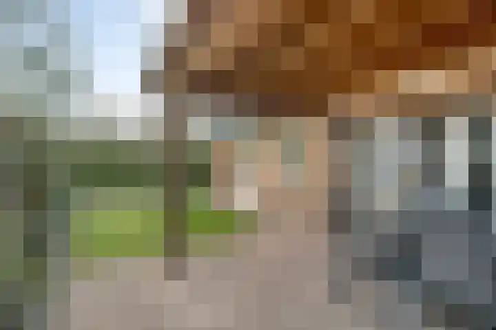 De Kuuper 27 Geesteren thumbnail 25
