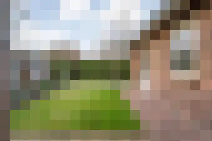 De Kuuper 27 Geesteren thumbnail 28