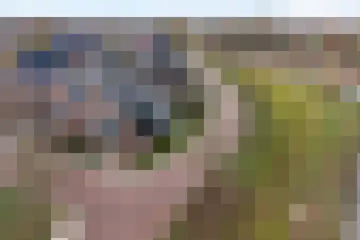 De Kuuper 27 Geesteren thumbnail 31