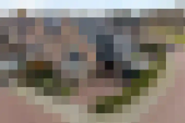 De Kuuper 27 Geesteren thumbnail 32