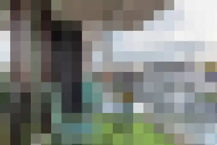 De Kuyperij 29 Roelofarendsveen thumbnail 23