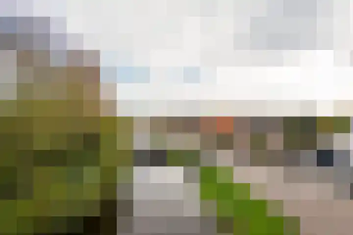 De Kuyperij 29 Roelofarendsveen thumbnail 4