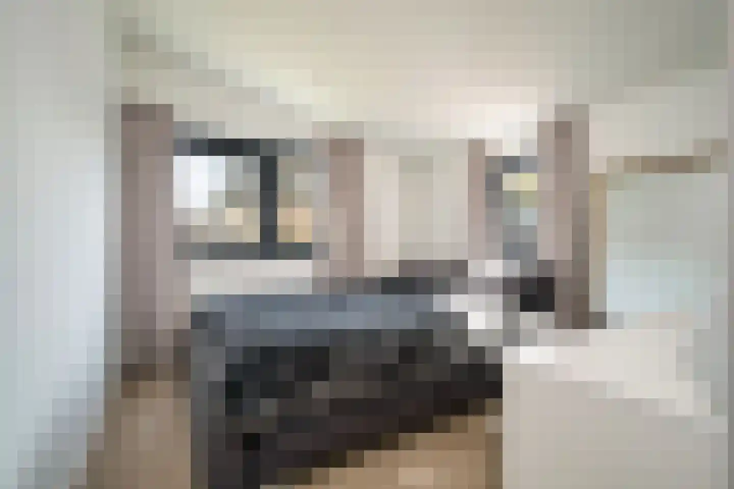 De Kwartel 20 Laren thumbnail 37