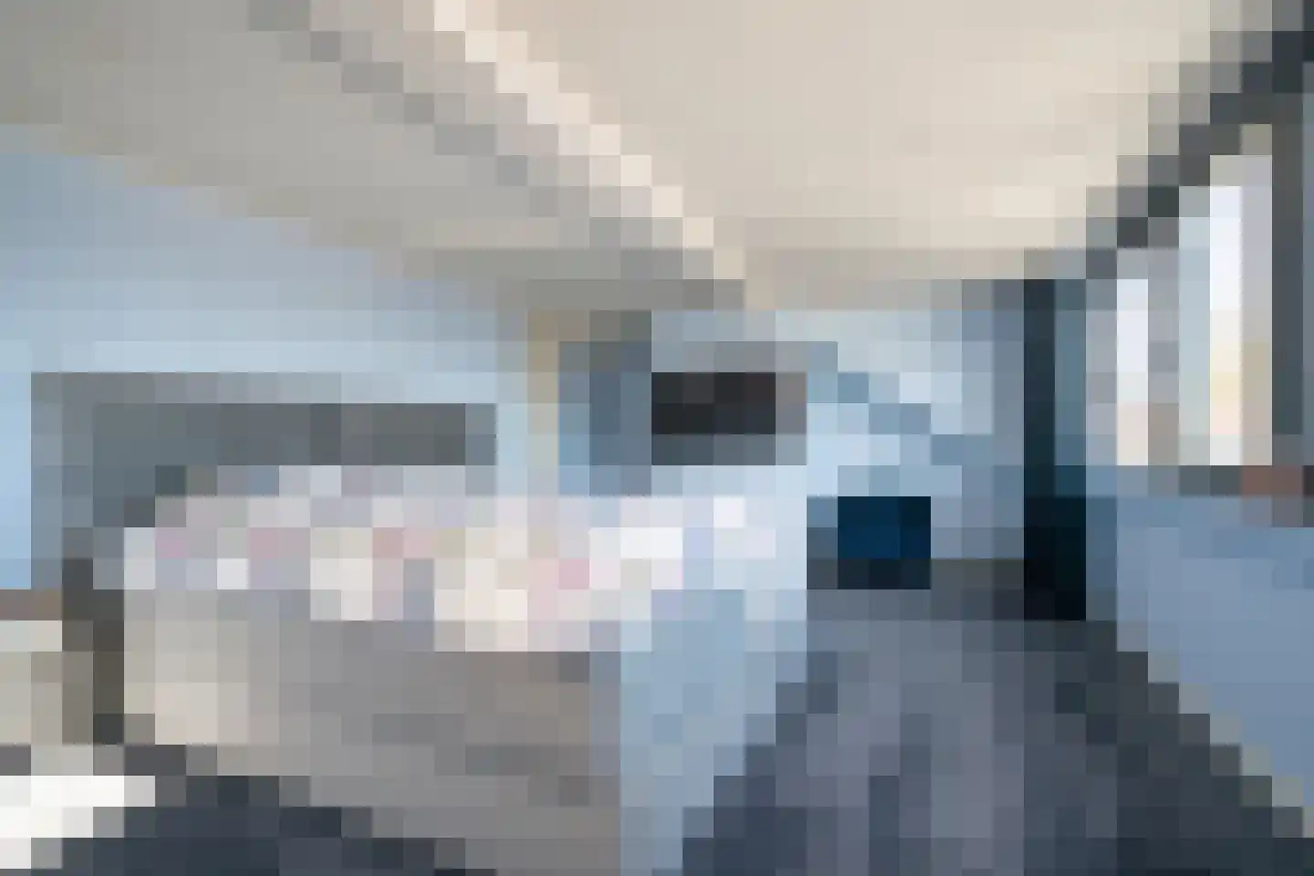 De Kwartel 20 Laren thumbnail 42