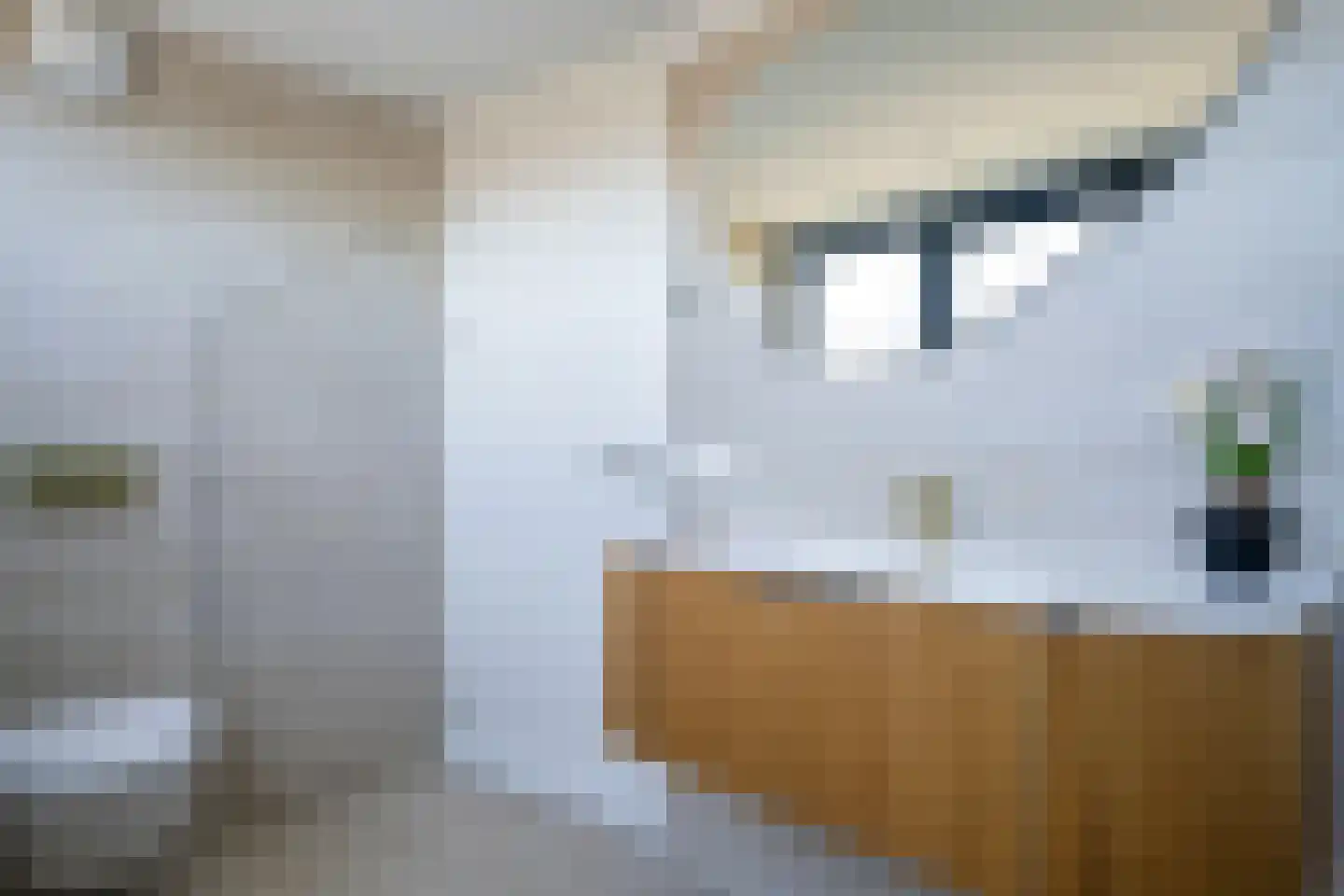 De Kwartel 20 Laren thumbnail 44