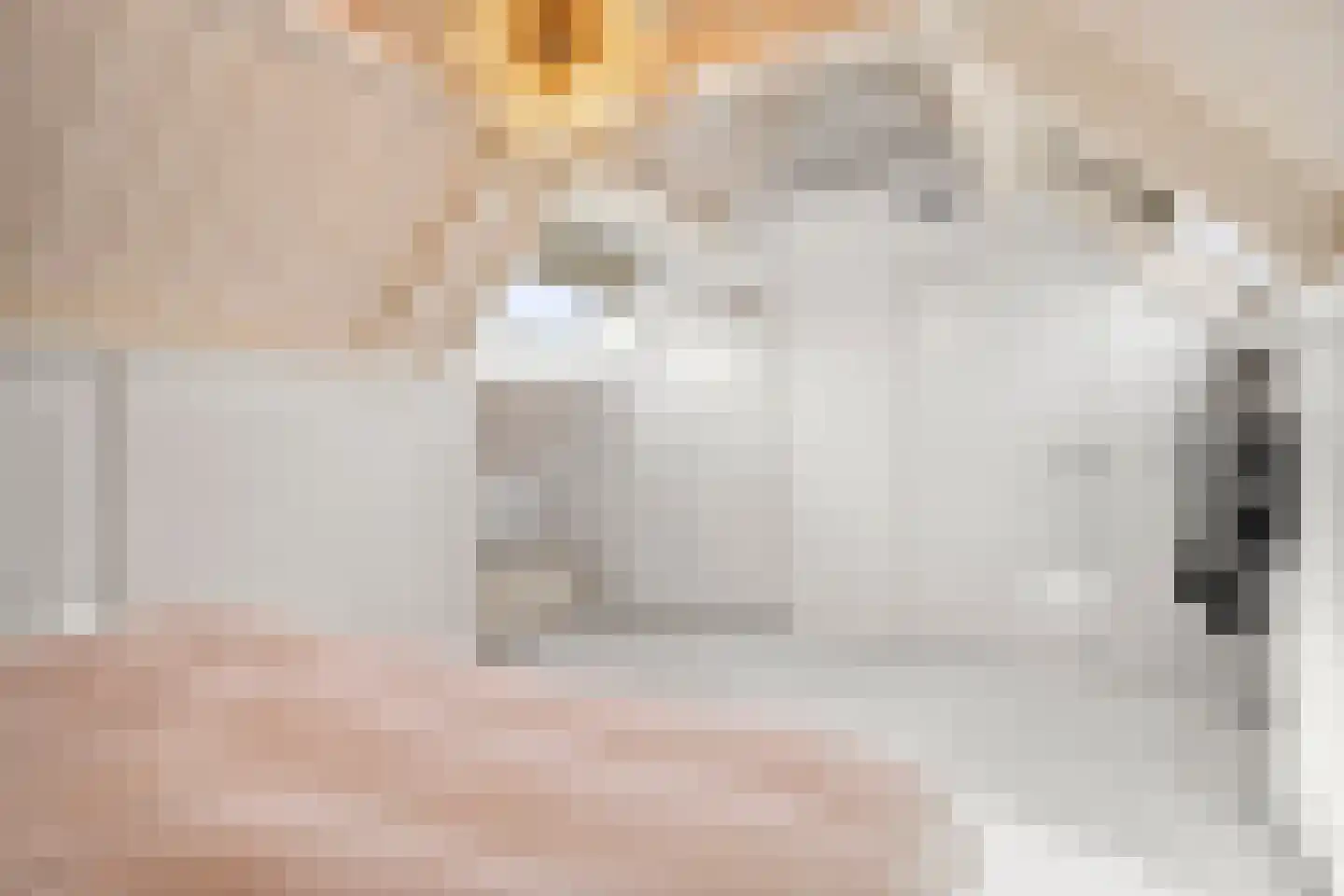 De Kweek 2 Lunteren thumbnail 43