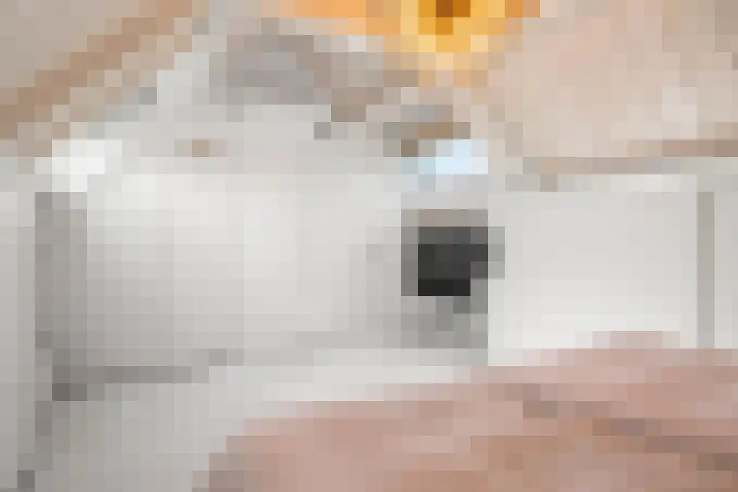 De Kweek 2 Lunteren thumbnail 44