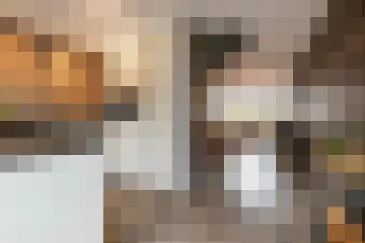 De Kweek 2 Veenendaal thumbnail 12