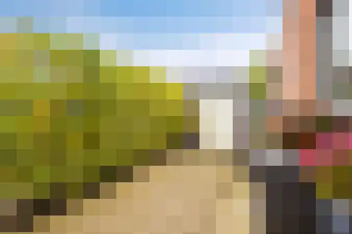 De Kweek 2 Veenendaal thumbnail 31