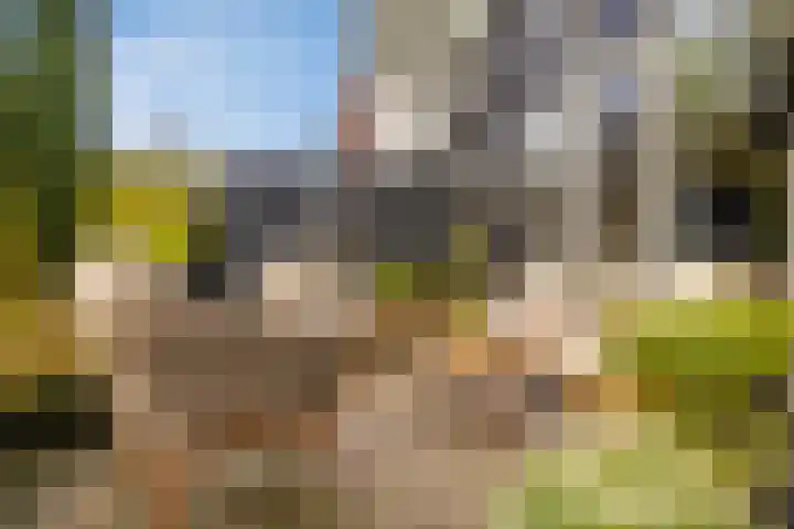 De Kweek 2 Veenendaal thumbnail 33
