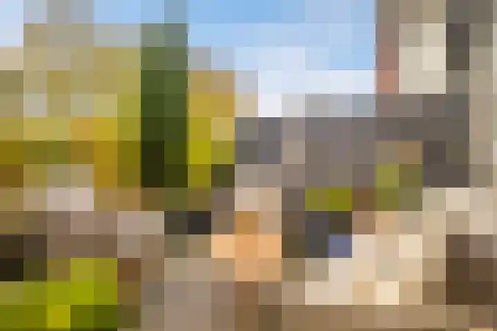 De Kweek 2 Veenendaal thumbnail 34