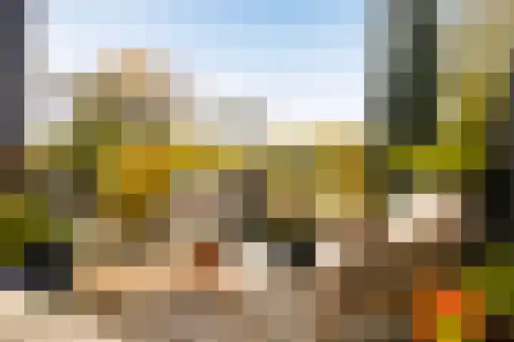 De Kweek 2 Veenendaal thumbnail 35