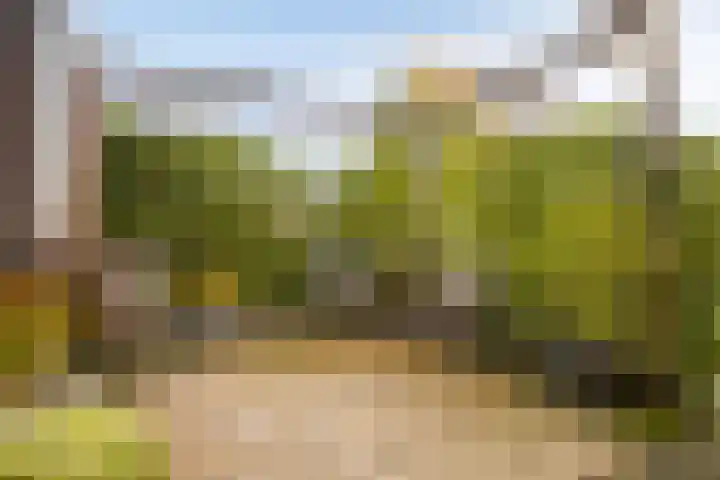 De Kweek 2 Veenendaal thumbnail 36