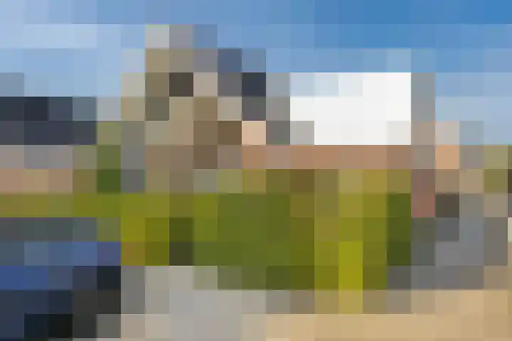 De Kweek 2 Veenendaal thumbnail 37