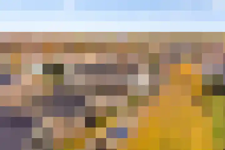 De Kweek 2 Veenendaal thumbnail 47